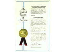 U.S. Patent of Slow Release Depot Therapy