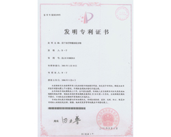 Chinese Patent of Slow Release Depot Therapy